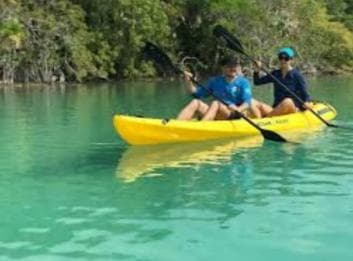 Private: Kayak Adventure at Los Haitises Sunrise Exploration