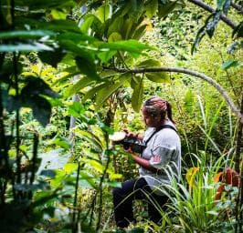 Punta Cana: Anamuya Mountains Guided Walking Tour