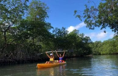Los Haitises: Guided Kayak Tour with Local Guide - Photo 5 (Gallery view)