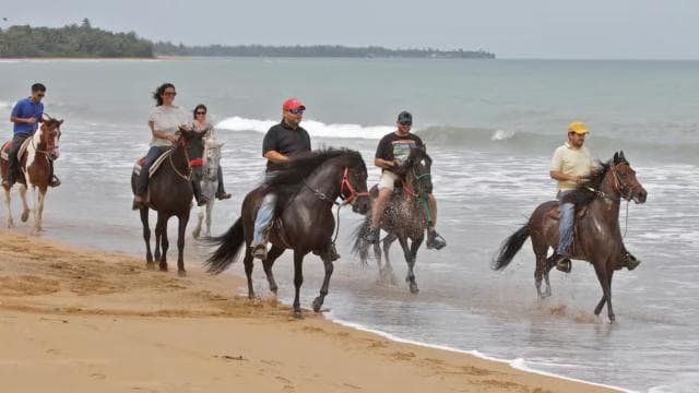 Carabalí-Regenwaldpark: Reiten am Strand - Photo 2 (Gallery view)