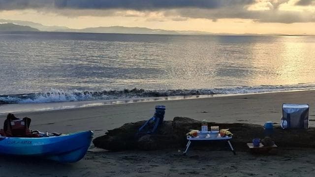 Puerto Jiménez: Aventura en Kayak en el Golfo Dulce + Bioluminiscencia - Photo 3 (Gallery view)
