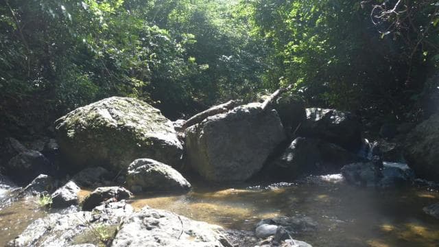 San Juan, PR: Hike to a Hidden Waterfall Adventure