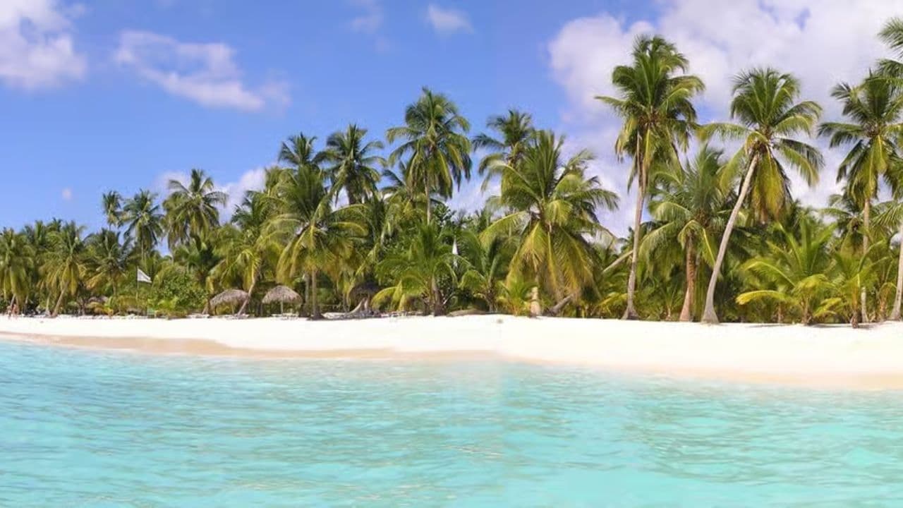Punta Cana: Saona Island Day Trip with Open Bar and Lunch - Dominican Republic