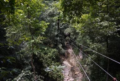 Puerto Plata/Amber Cove: Zipline and Waterfalls with Lunch