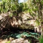 Bayahibe: Národní park Jungle Walk a šnorchlování v Cenotes - Photo 4 (Gallery view)