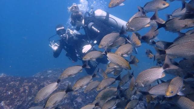 Tamarindo: Private Snorkeling Boat Charter Guanacaste