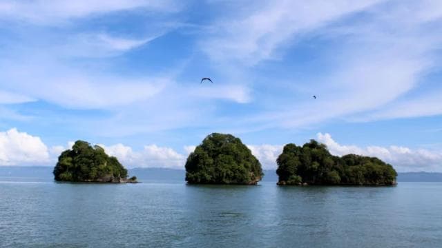 From Samana: Los Haitises Boat and Walking Tour with Lunch - Photo 5 (Gallery view)
