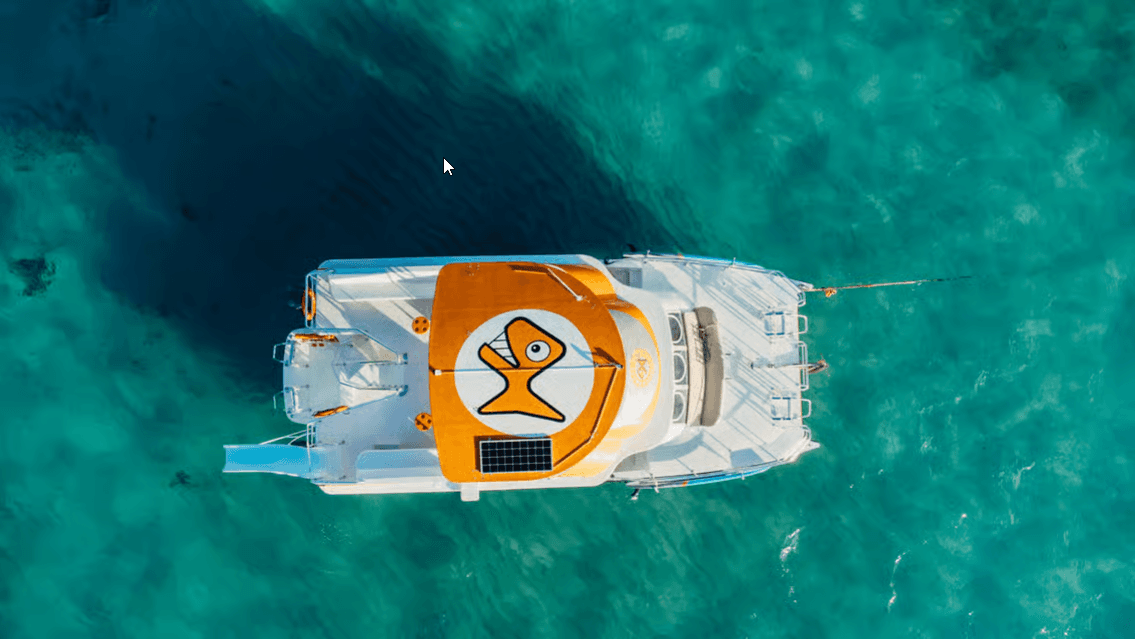 Punta Cana: Catamaran Tour with Food, Drinks, and Snorkeling - Dominican Republic