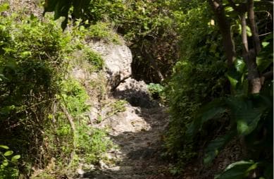 Samana Bay: Cayo Levantado Snorkeling and Kayaking Tour - Photo 5 (Gallery view)