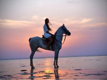 Makadi Bay: Horse Riding in Desert & Sea w Guide + Transfers