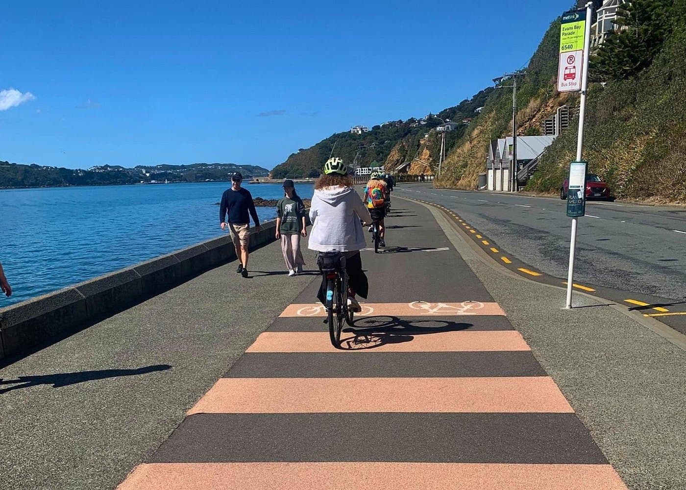 Wellington Electric Bike Rental