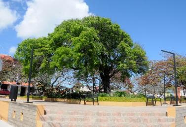 Puerto Plata City Tour and Cable Car Ride