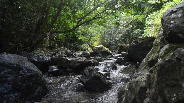 San Juan, PR: Hike to a Hidden Waterfall Adventure