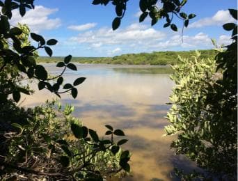 Jaragua National Park: Explore Laguna de Oviedo
