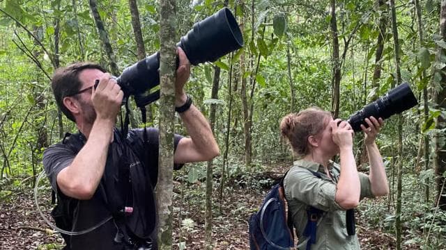 From Puerto Jimenez: Corcovado National Park Full-Day Tour