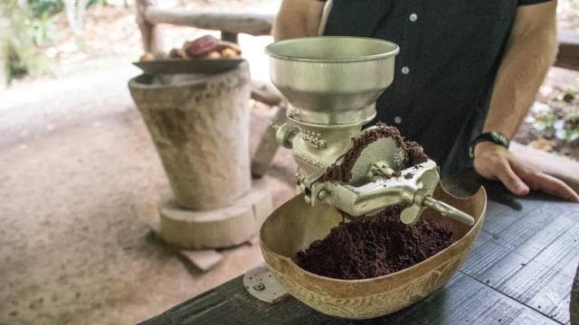 La Fortuna: Rainforest Chocolate Tour
