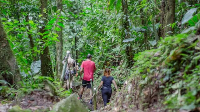 La Fortuna: 12 Canopy Zip Lines and Forest Walk Guided Trip