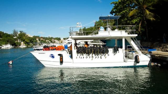Catalina Island Scuba Diving Tour from Punta Cana