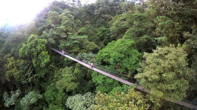 La Fortuna: Arenal Volcano, Hanging Bridges & Waterfall Tour