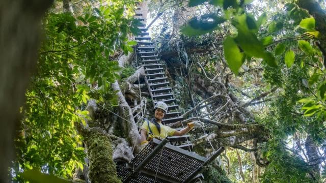 The Original Canopy Tour Monteverde