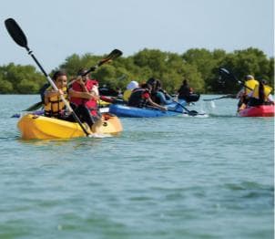 From Samana: Los Haitises Hike, Boat Trip, and Kayaking - Photo 5 (Gallery view)