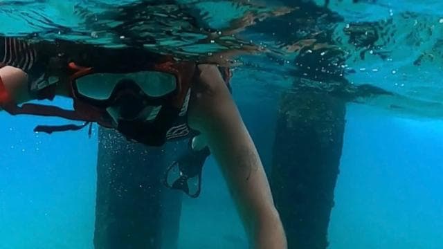 San Juan: Snorkeling with Turtles Adventure and Free Videos - Photo 5 (Gallery view)
