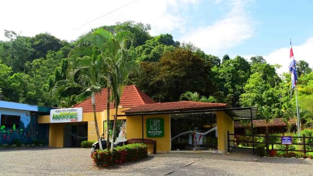 Jaco Beach: Zip Line Canopy Tour