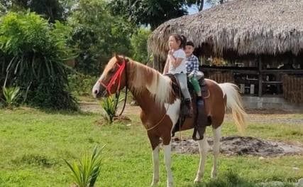 Santo Domingo: Horseback Riding - Round Trip Transportation