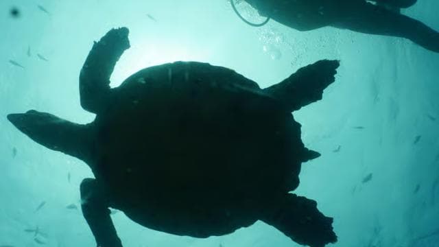 Guanacaste: Discover Scuba Dive Day in Papagayo Gulf
