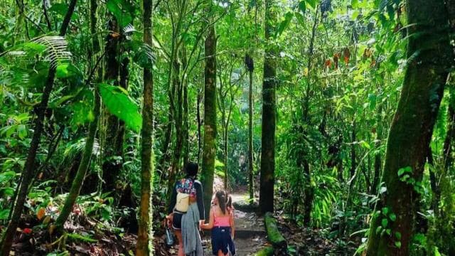 La Fortuna: Arenal Volcano Ecological Park Entry Ticket