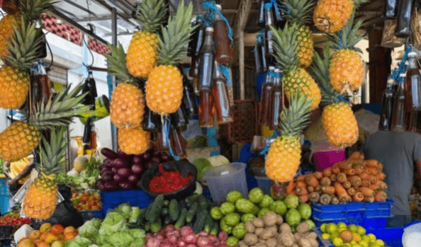 Punta Cana: Small-Group Dominican Culture & Gastronomy Tour - Photo 4 (Gallery view)
