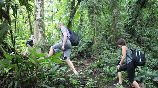 La Fortuna: Arenal Volcano, Lunch, & Hotsprings Morning Tour - Photo 2 (Gallery view)