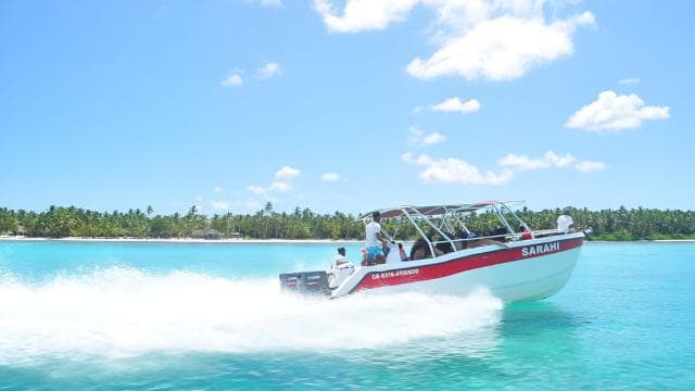 Saona Island Day Trip + Lunch + Open Bar from Punta Cana