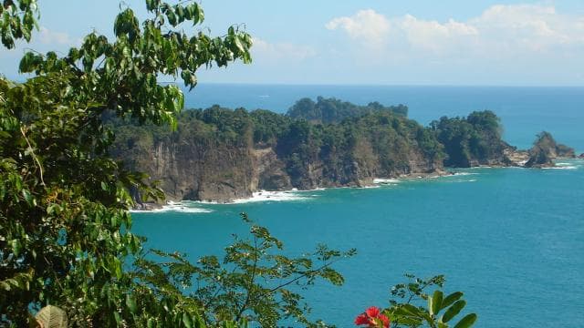 San Jose Costa Rica: Manuel Antonio National Park Tour - Photo 4 (Gallery view)