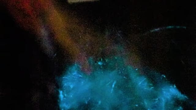 Paquera: Sunset and Bioluminescence Evening Kayaking Tour