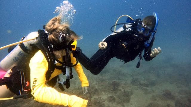 PUERTO RICO: Private Scuba Dive for Beginners!