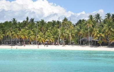 Saona Island and natural Pool Punta Cana - Photo 4 (Gallery view)
