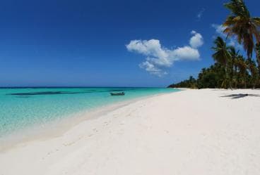 Isla Saona Wildlife Safari: Your All-Inclusive Escape
