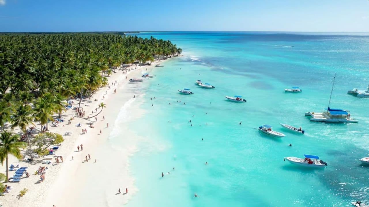 From Punta Cana: Saona Island Day Trip with Buffet Lunch - Dominican Republic