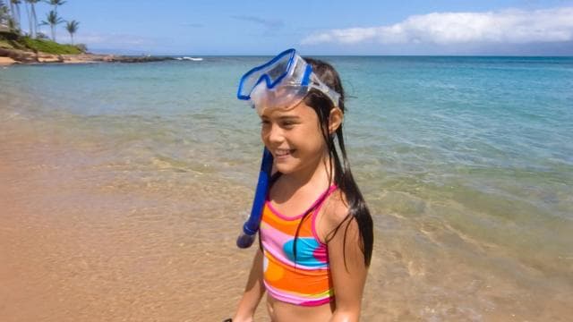 LICENSED Two-Hour Snorkeling Adventure Cahuita National Park