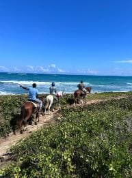 Punta Cana: Guided Horseback Tour of Beaches and Fields - Dominican Republic