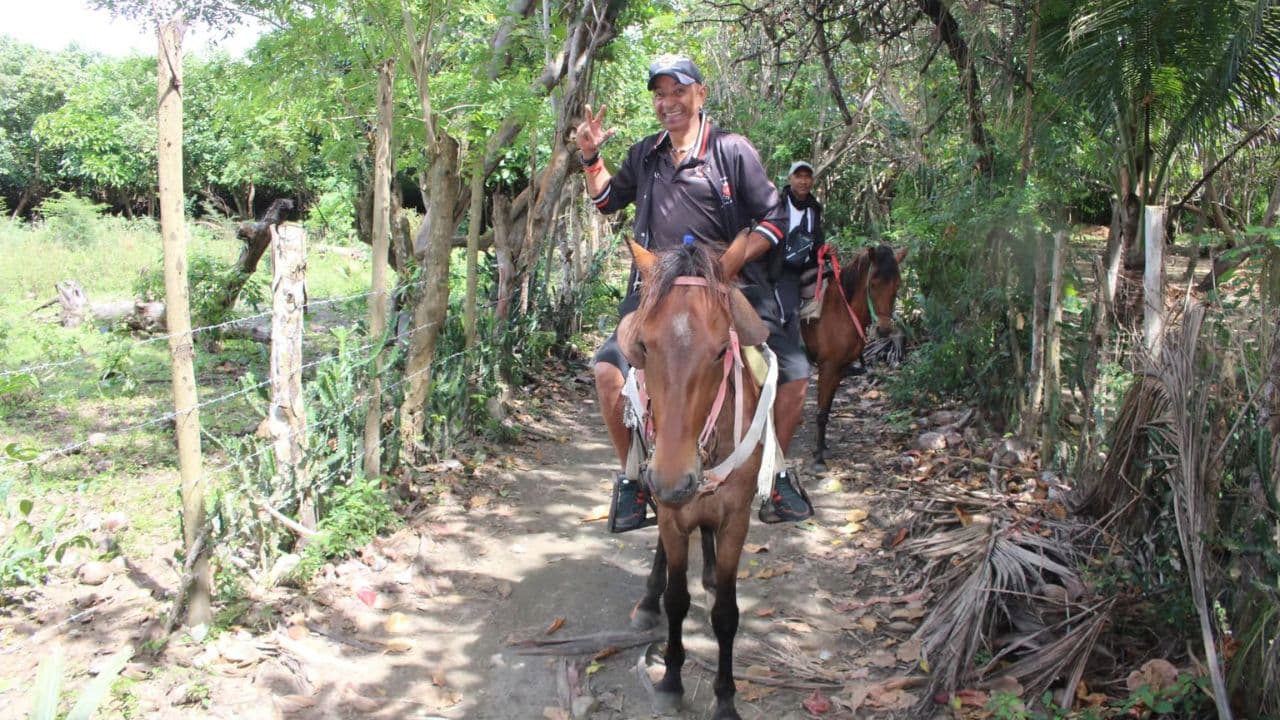 Beach horse back riding and countryside