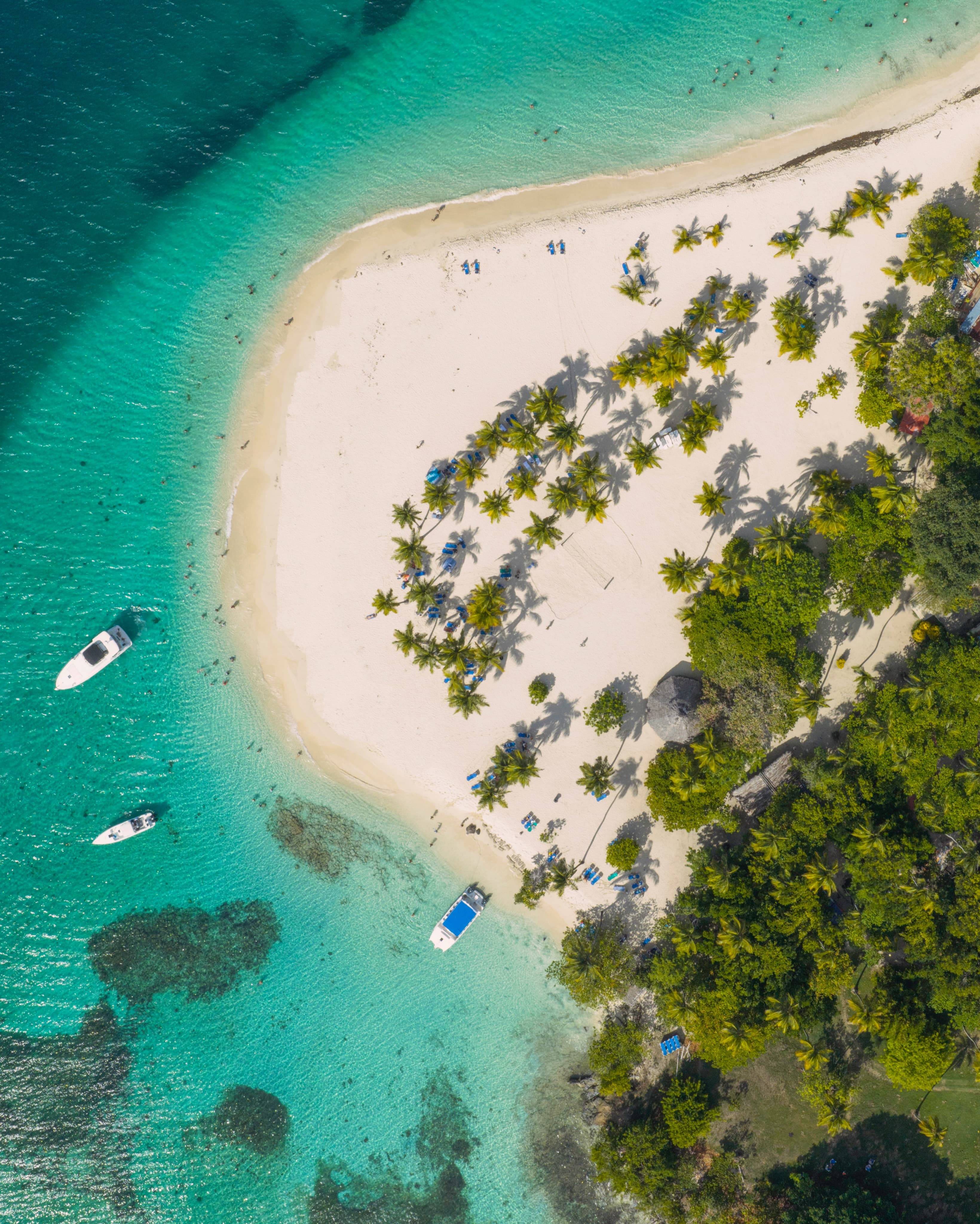 Los Haitises & Cayo Levantado Tour ab Las Terrenas | Ökotour-Abenteuer für 79 $ - Dominican Republic
