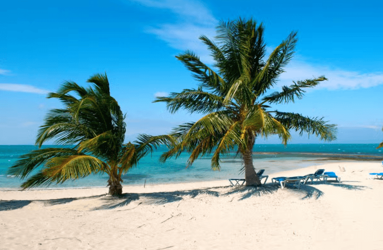 The Best of Cuba: 11-Day Tour