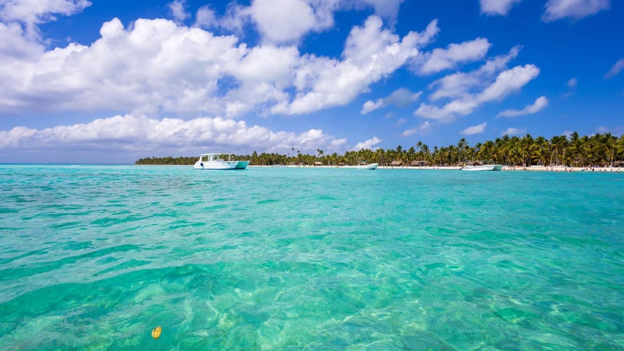 Saona Island: Full-Day Boat Tour with Drinks & Buffet Lunch - Photo 2 (Gallery view)