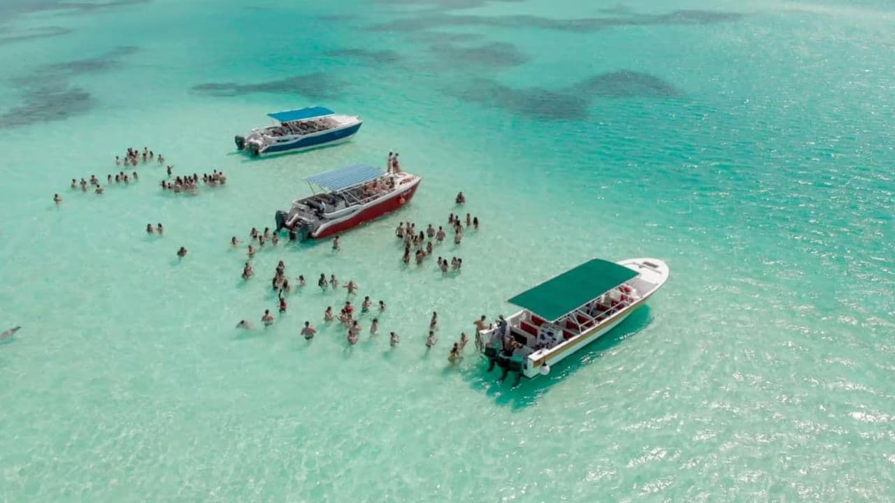 Punta Cana Party: Booze Cruise with Open Bar
