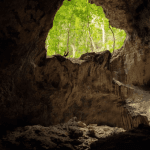 Los Haitises Boat Ride + Caño Hondo Natural Pools