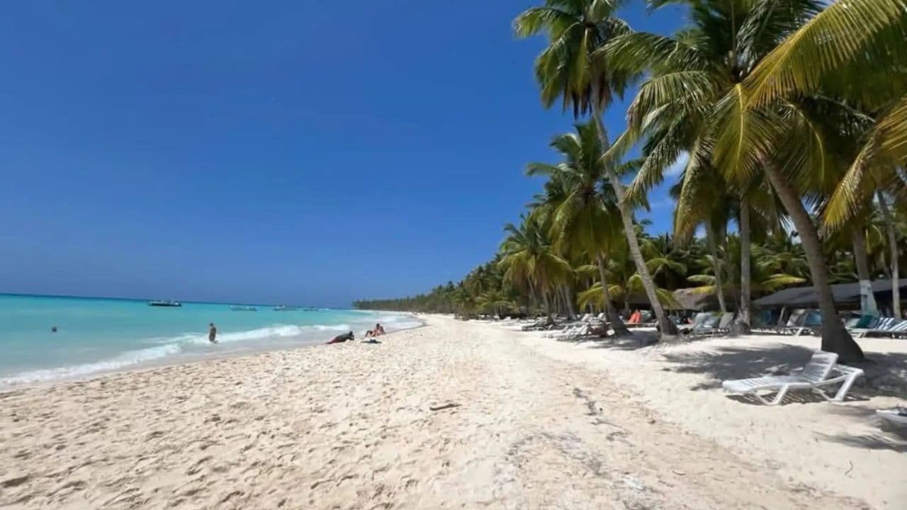 All-Inclusive-Tagesausflug zur Insel Saona ab Punta Cana - Photo 3 (Gallery view)