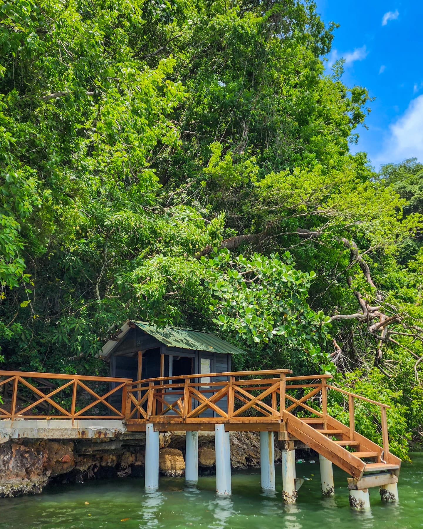 Cano Hondo Natural Pools & Los Haitises Bootstour - Photo 5 (Gallery view)