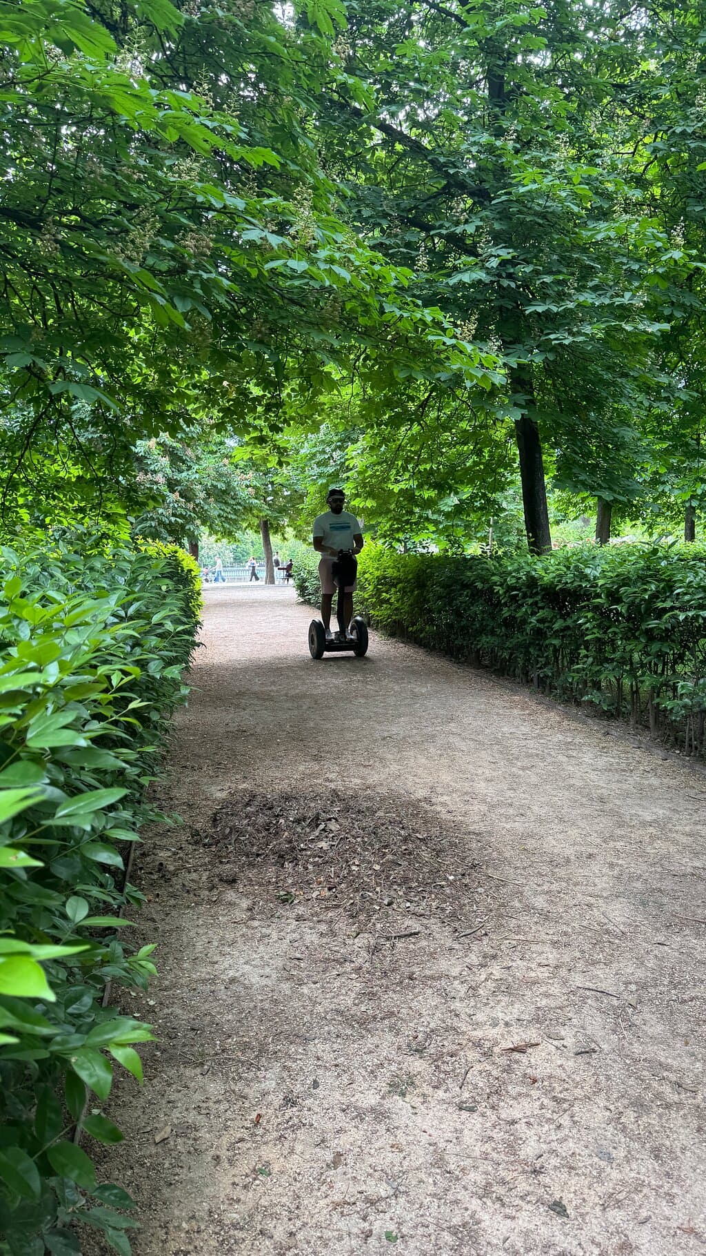 Retiro Park Segway Tour in Madrid